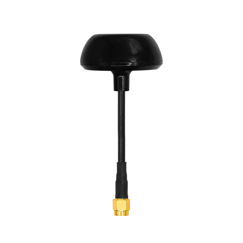 Black Lollipop Antenna